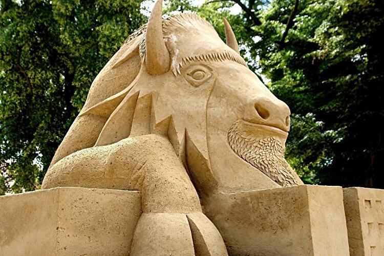 Sandsation 2009