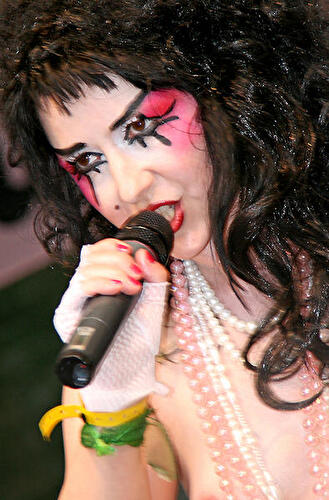 Lesbisch-Schwules Straßenfest 2009