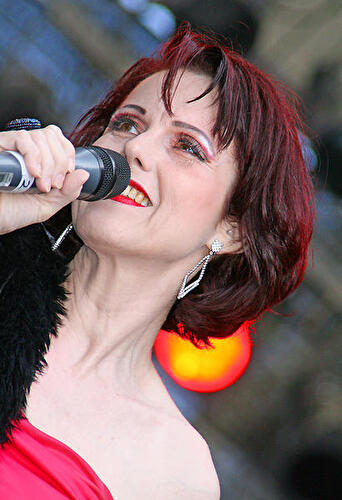 Lesbisch-Schwules Straßenfest 2009