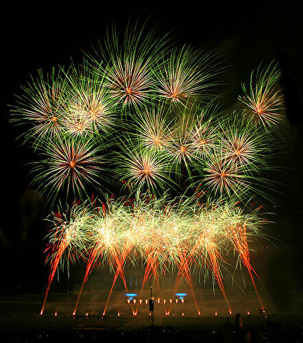 Pyronale 2009