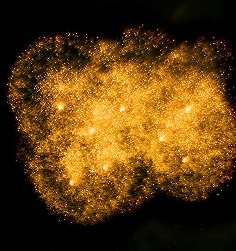 Pyronale 2009