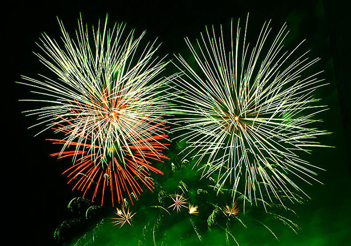 Pyronale 2009