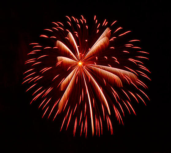 Pyronale 2009