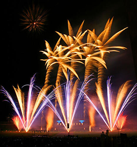 Pyronale 2009