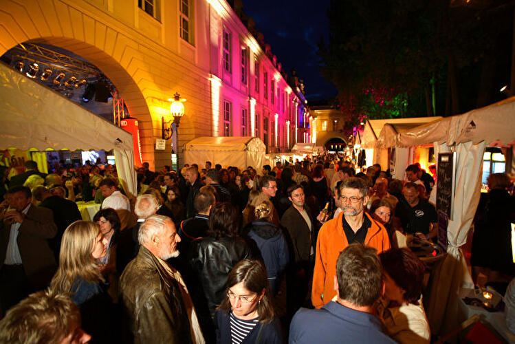 Berliner Gauklerfest 2008