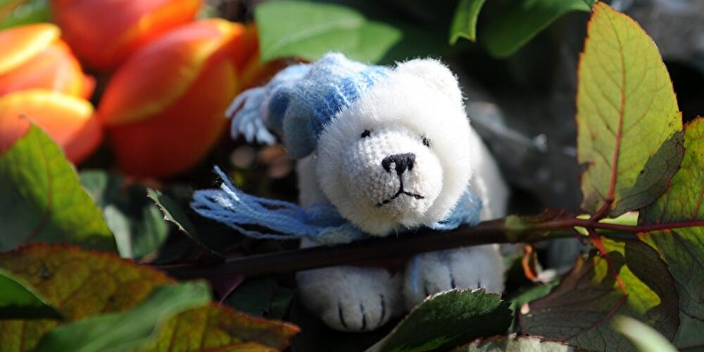 Berliner trauern um Knut