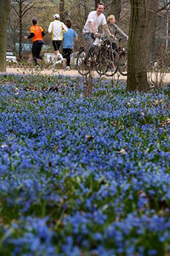Frühling in Berlin