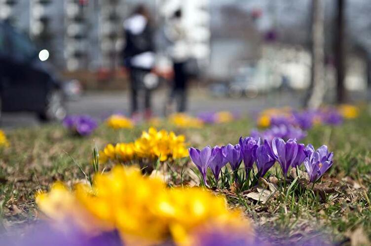 Frühling in Berlin