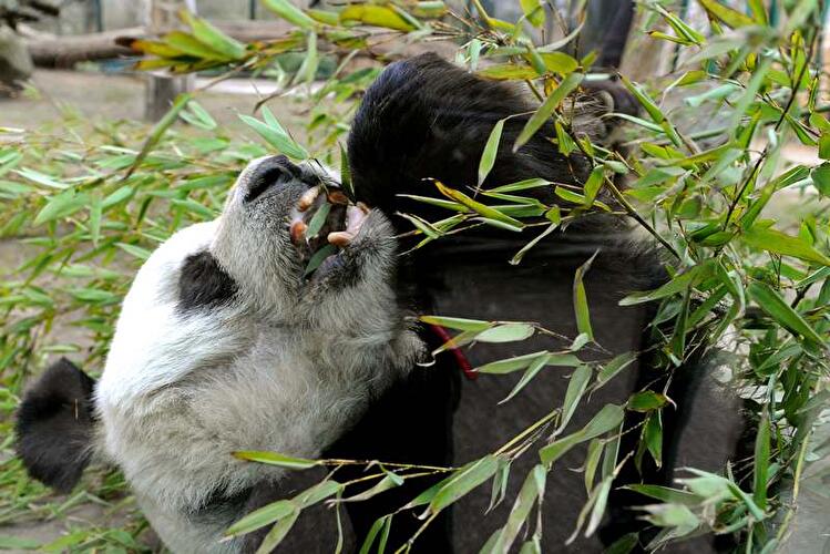 Frühling in Berlin