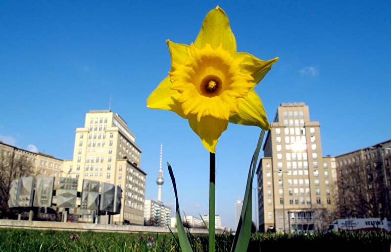 Frühling in Berlin