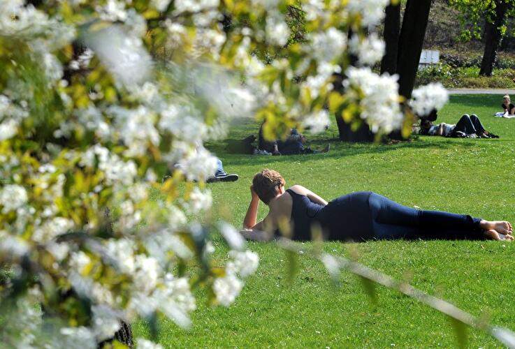 Frühling in Berlin