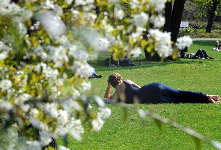 Frühling in Berlin