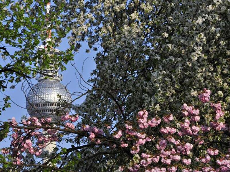 Frühling in Berlin