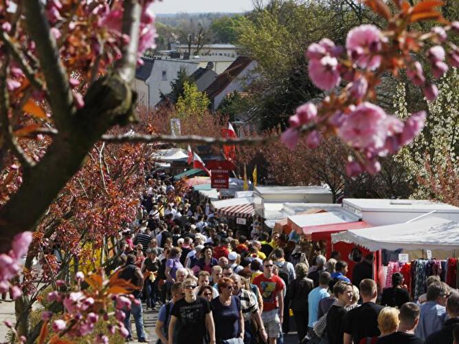 Baumblütenfest