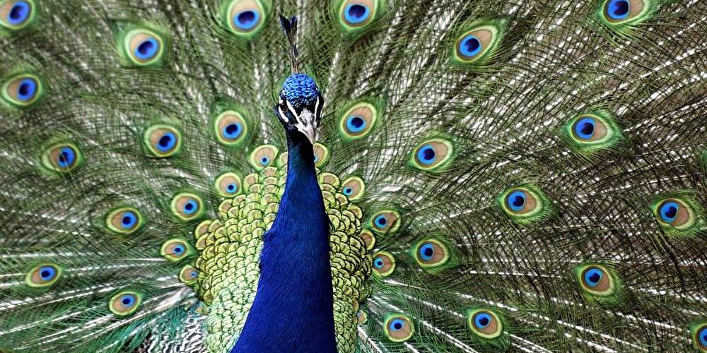 Tierpark Friedrichsfelde Berlin