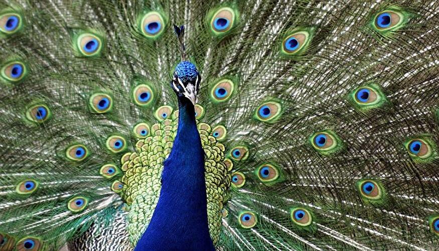 Tierpark Friedrichsfelde Berlin