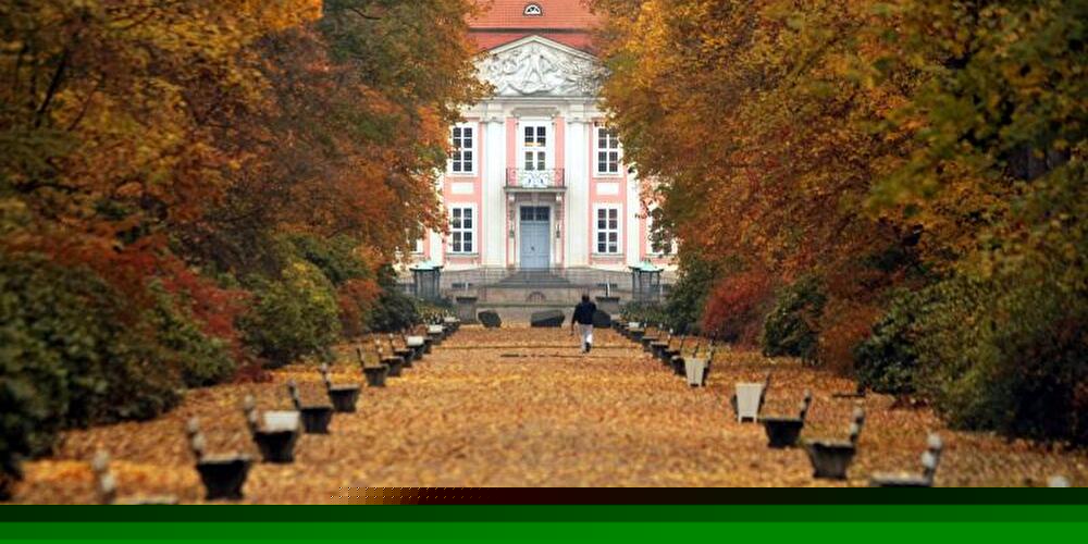 Tierpark Friedrichsfelde Berlin
