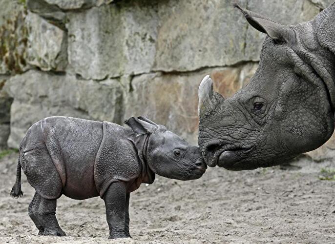 Tierpark Friedrichsfelde Berlin