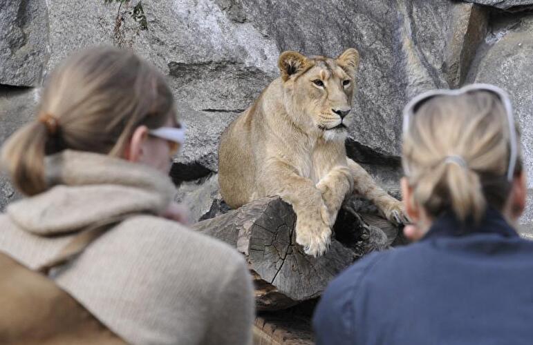 Tierpark Friedrichsfelde Berlin