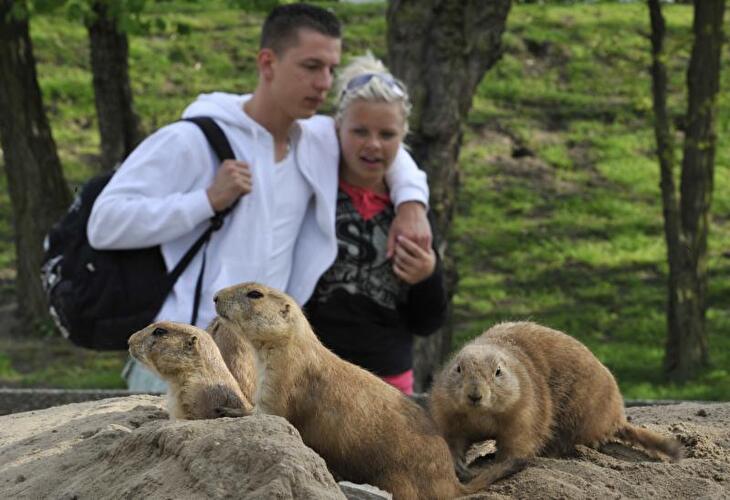 Tierpark Friedrichsfelde Berlin