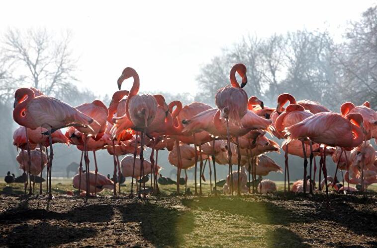 Tierpark Friedrichsfelde Berlin
