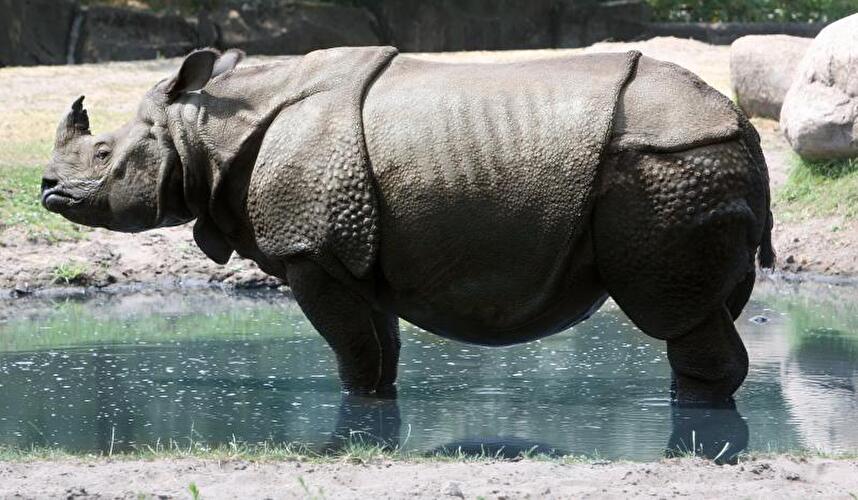 Tierpark Friedrichsfelde Berlin