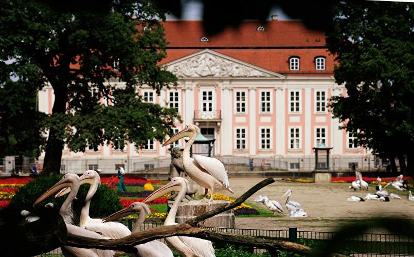 Tierpark Friedrichsfelde Berlin