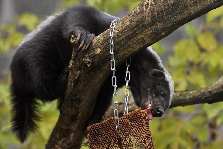 Tierpark Friedrichsfelde Berlin