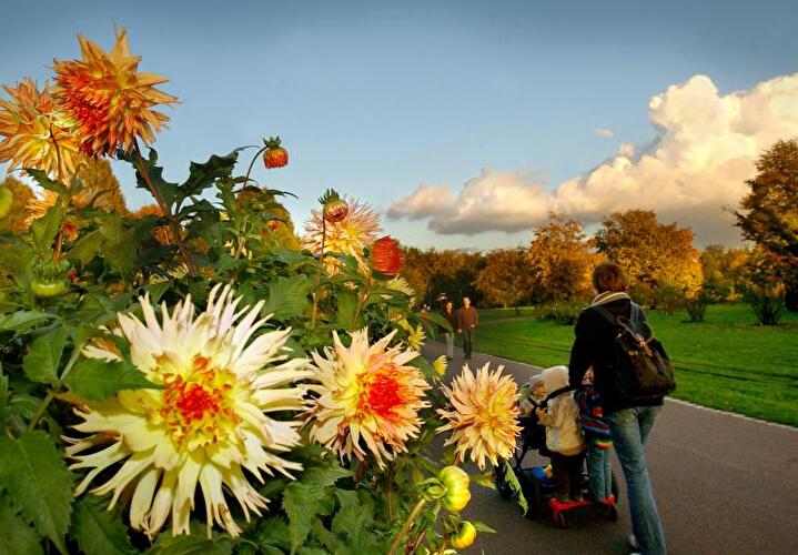 Britzer Garten Berlin