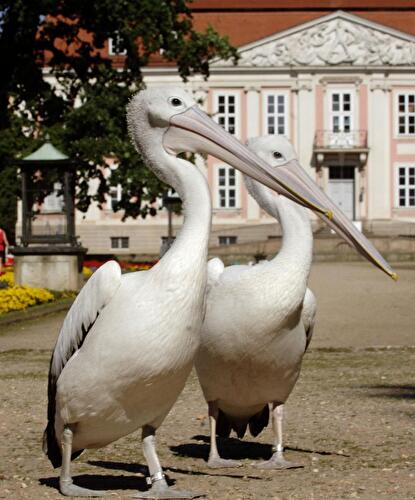 Tierpark Friedrichsfelde Berlin