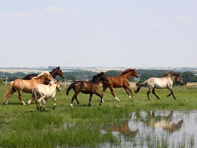 Uckermark