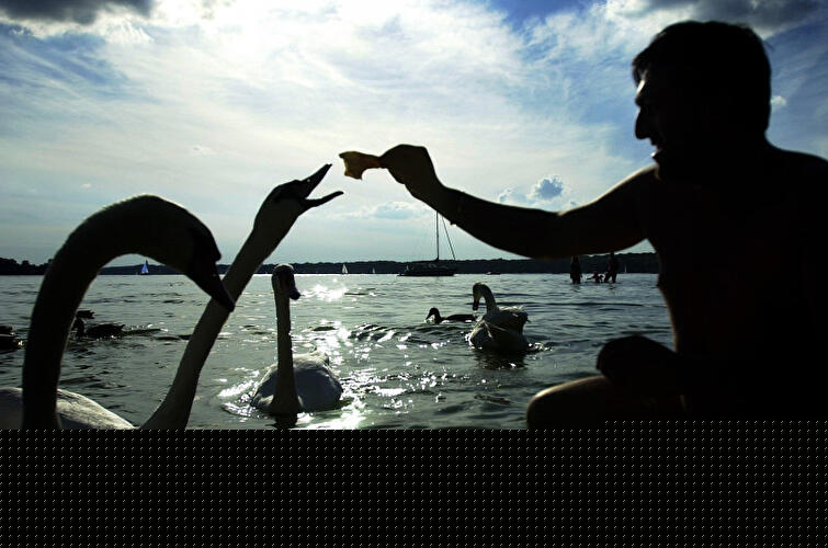 Wannsee Berlin