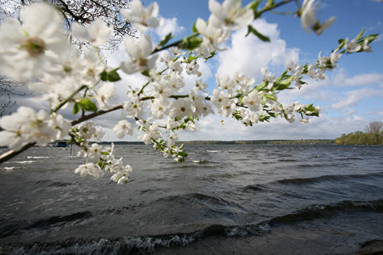 Wannsee Berlin