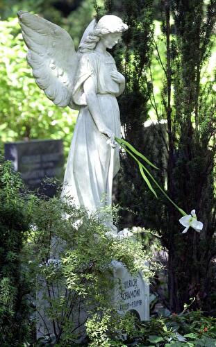Grabstätte von Ulrich Schamoni auf dem Waldfriedhof Zehlendorf