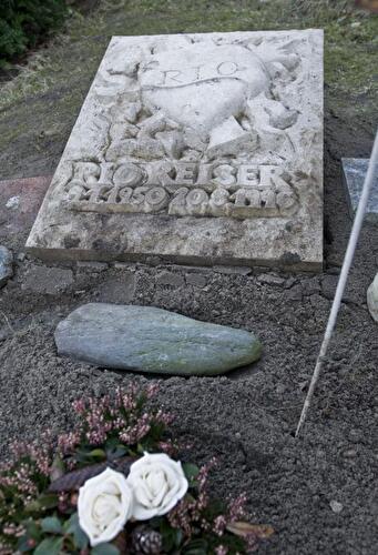 Grabstätte von Rio Reiser auf dem St. Matthäus-Friedhof