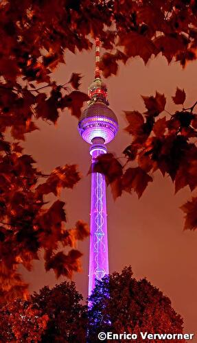 Festival of Lights 2011