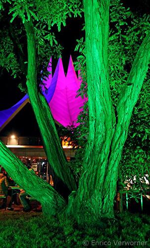 Festival of Lights 2011