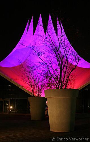 Festival of Lights 2011