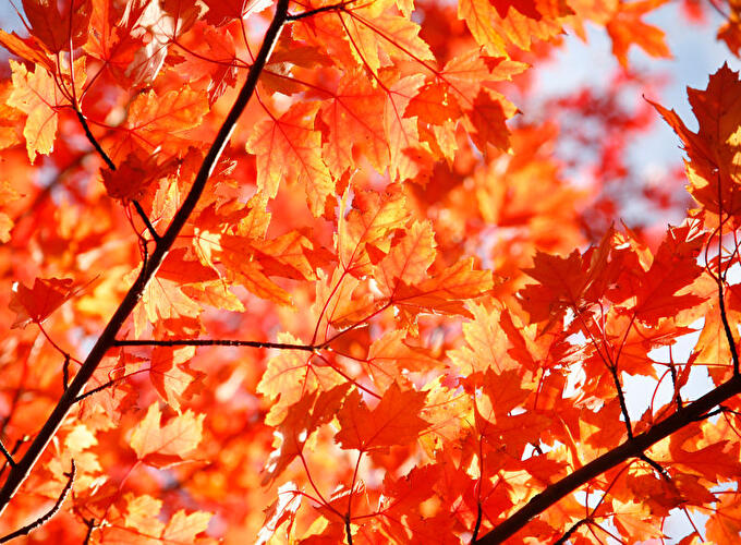 Herbst in Berlin 2011