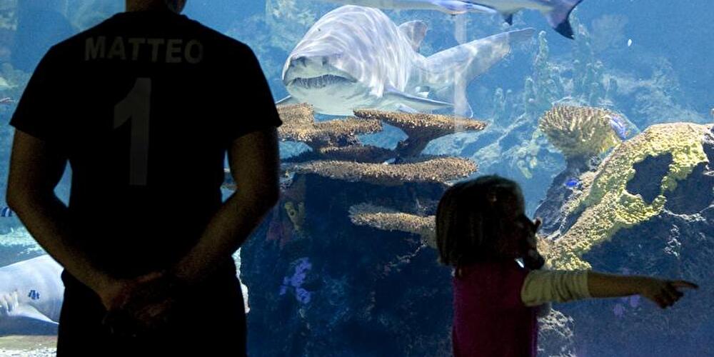 Zoo Aquarium Berlin