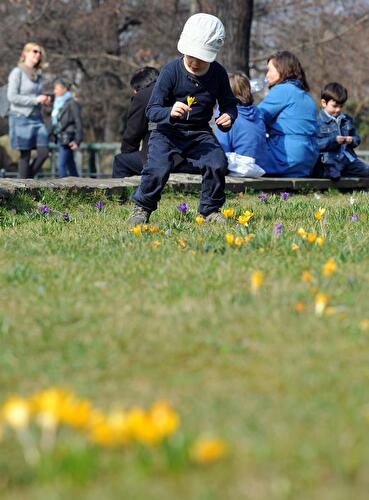 Frühling in Berlin