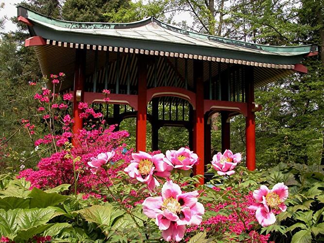 Frühlingspfad im Botanischen Garten