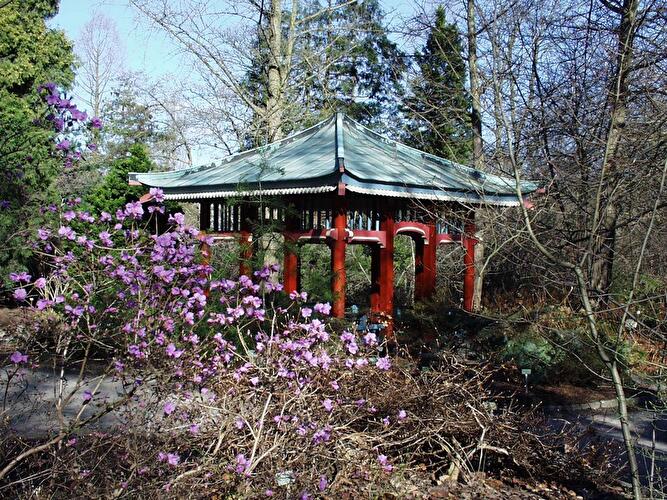 Frühlingspfad im Botanischen Garten