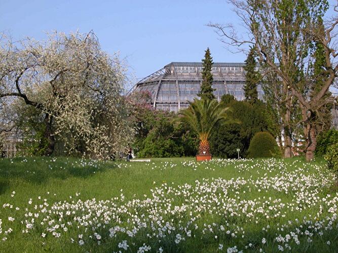 Frühlingspfad im Botanischen Garten