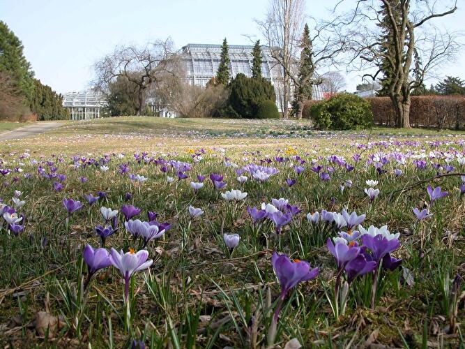 Frühlingspfad im Botanischen Garten