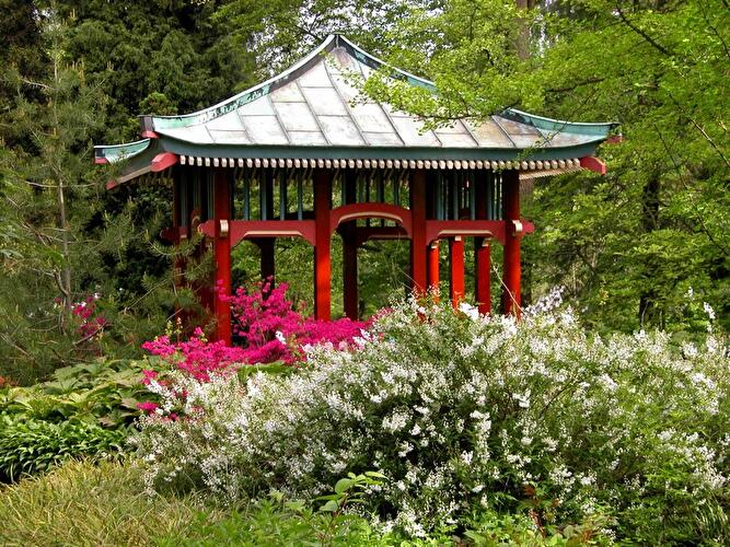 Frühlingspfad im Botanischen Garten