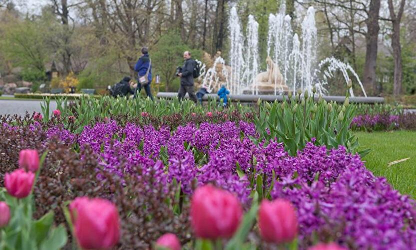 Frühling in Berlin