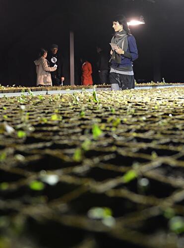 7. Berlin Biennale
