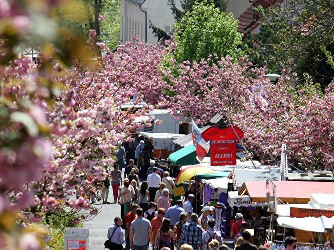Baumblütenfest in Werder