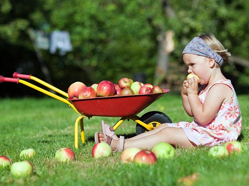 Kindern Gartenarbeit näherbringen